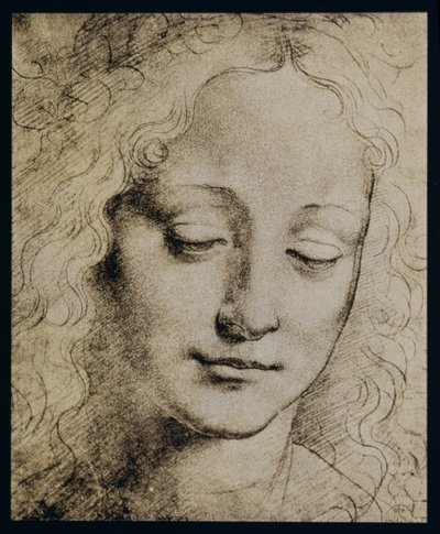 若い女の子の頭 作： Leonardo da Vinci